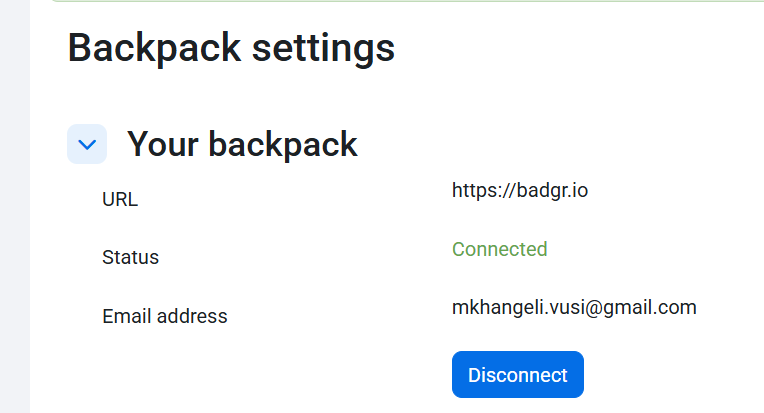 Vusumzi Mkhangeli's backpack